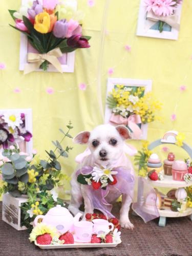 20230322ココちゃん